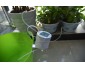 Система полива для домашних растений