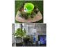 Система полива для домашних растений (расширенная версия)